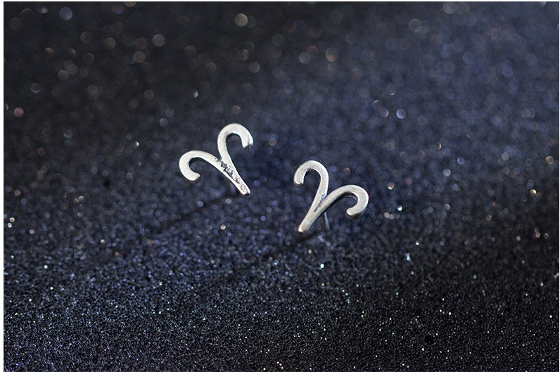 12 constellation earrings simple wishing earrings earrings